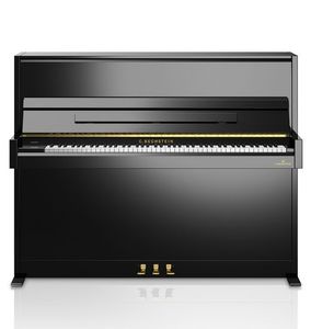 贝希斯坦C.BECHSTEIN-A4
