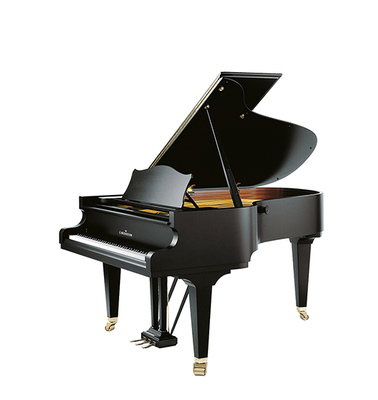 贝希斯坦C.BECHSTEIN-MP-192(多色可选）