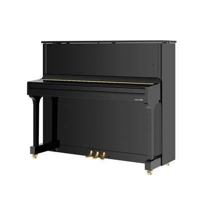 齐默曼Zimmermann-P3D